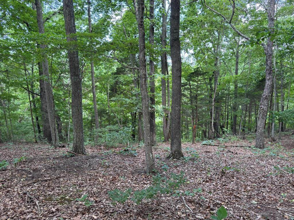 Lot 12 Cornerstone Pkwy - Photo 1