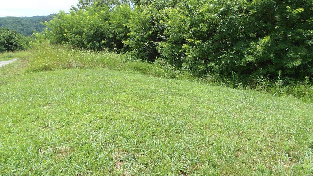 Lot 17D Crappie Lane - Photo 1