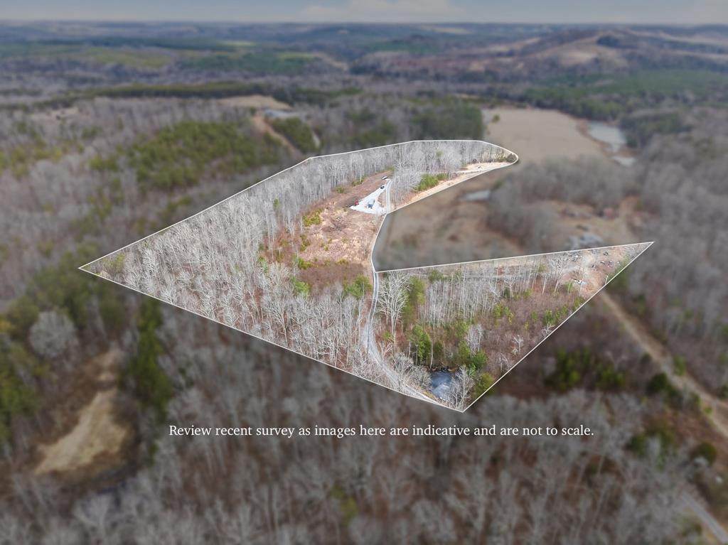 12.63 Ac Vanwinkle Cemetery Road - Photo 1