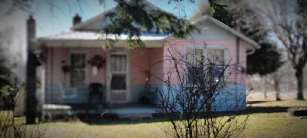 13323 Highway 70 North - Photo 1