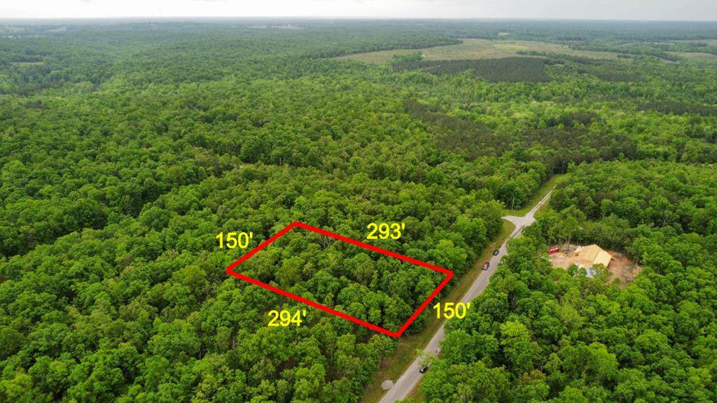 lot 13 Halfway Rd. - Photo 1