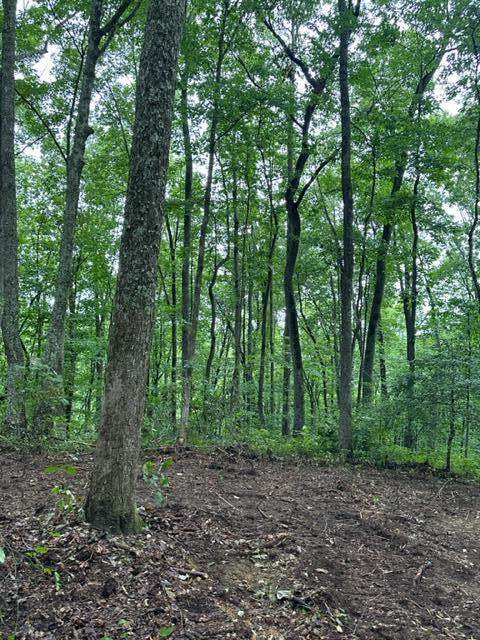 lot 340 Deep Branch - Photo 1