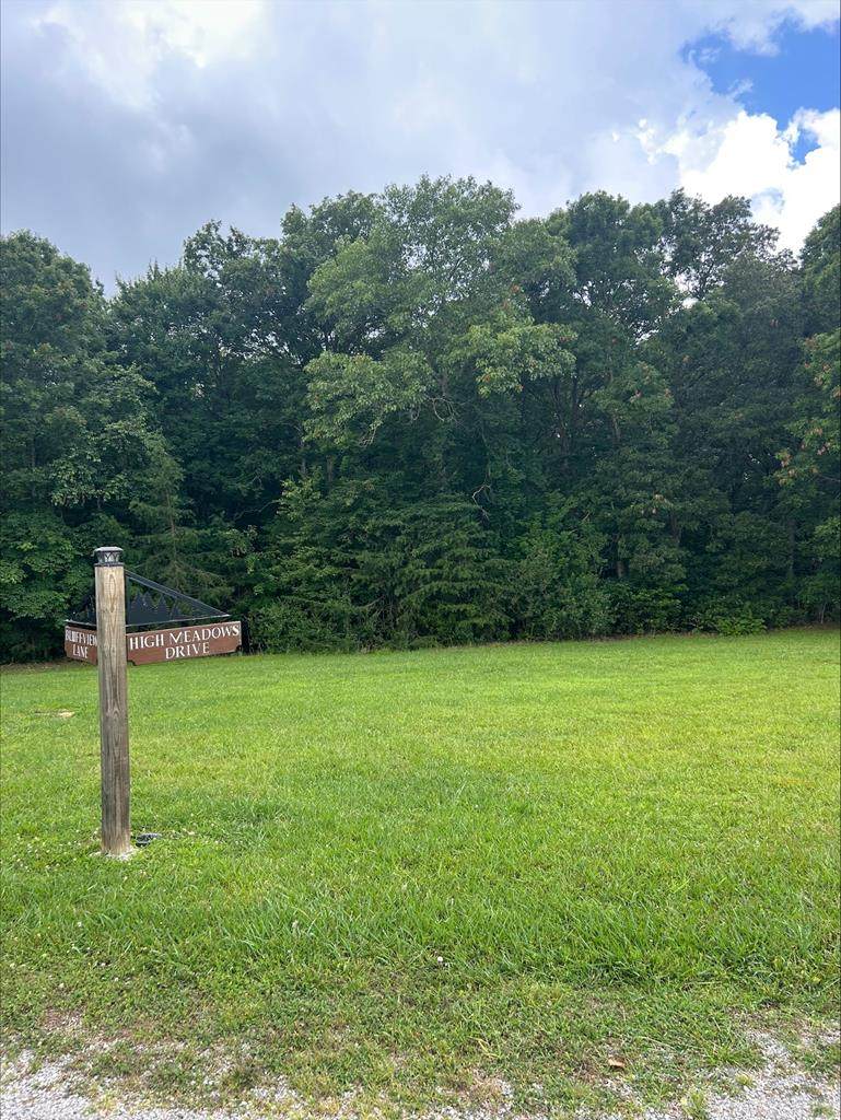 00 High Meadows Drive - Photo 1