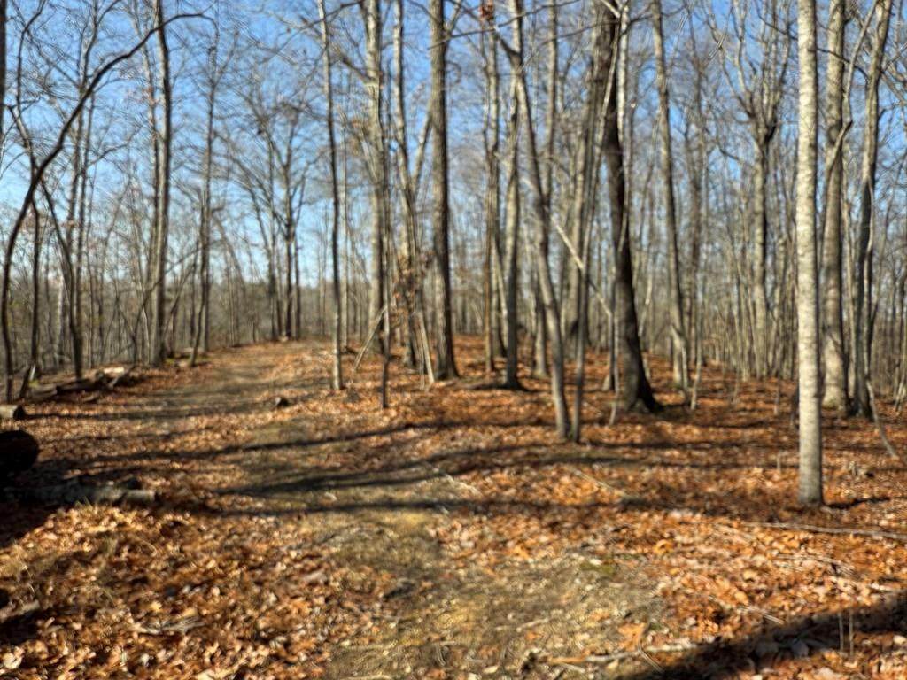 18.19 Ac Spence Ln - Photo 1