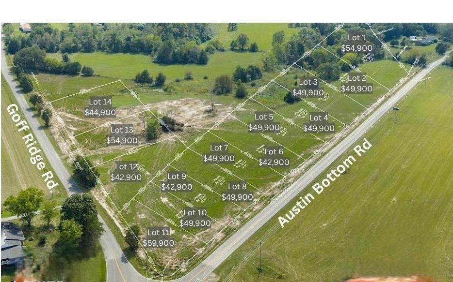 Lot 2 Austin Bottom Rd - Photo 1