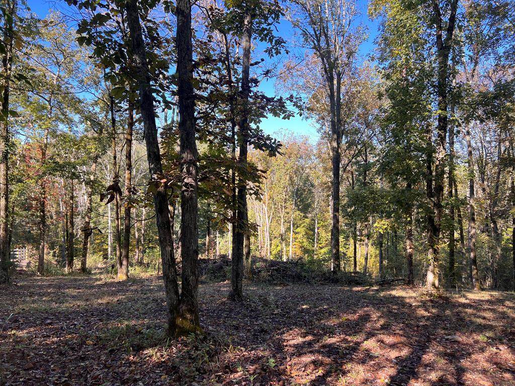 Lot 19 Shoreside Dr - Photo 1