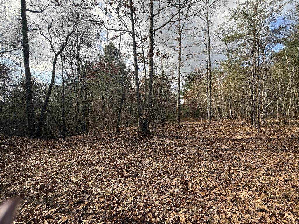 0 Valerie Dr - Photo 1