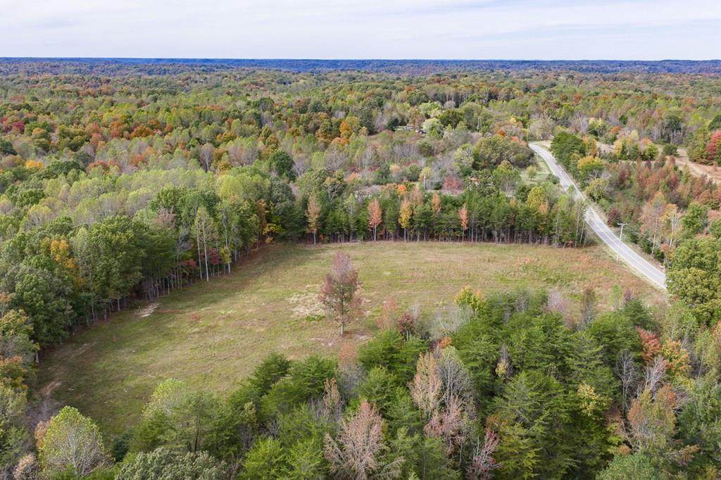 15826 Dodson Branch Highway - Photo 1