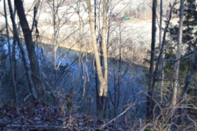 5.52ac Cabin Hill Rd - Photo 1