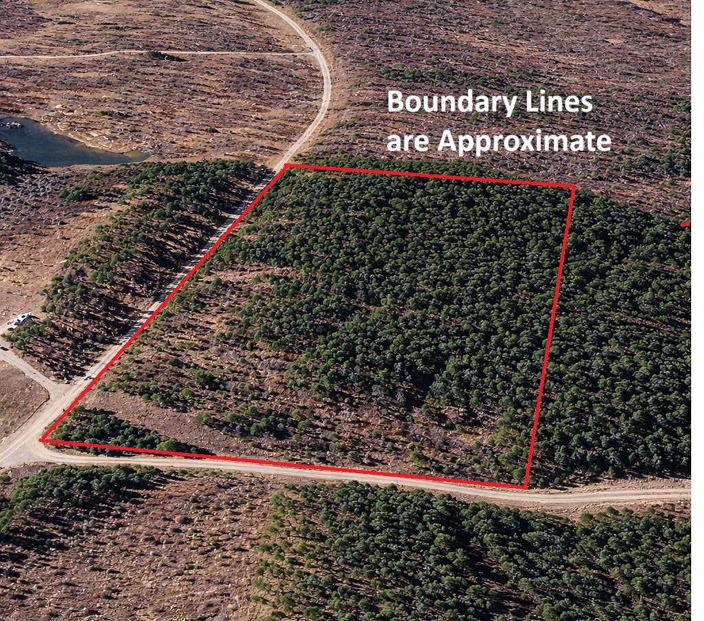 0 Wragg Blvd - Photo 1