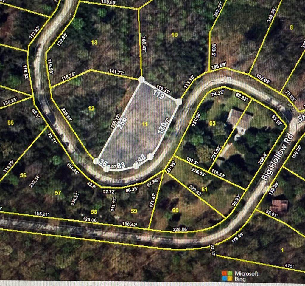Lot 11 Big Hollow Rd - Photo 1
