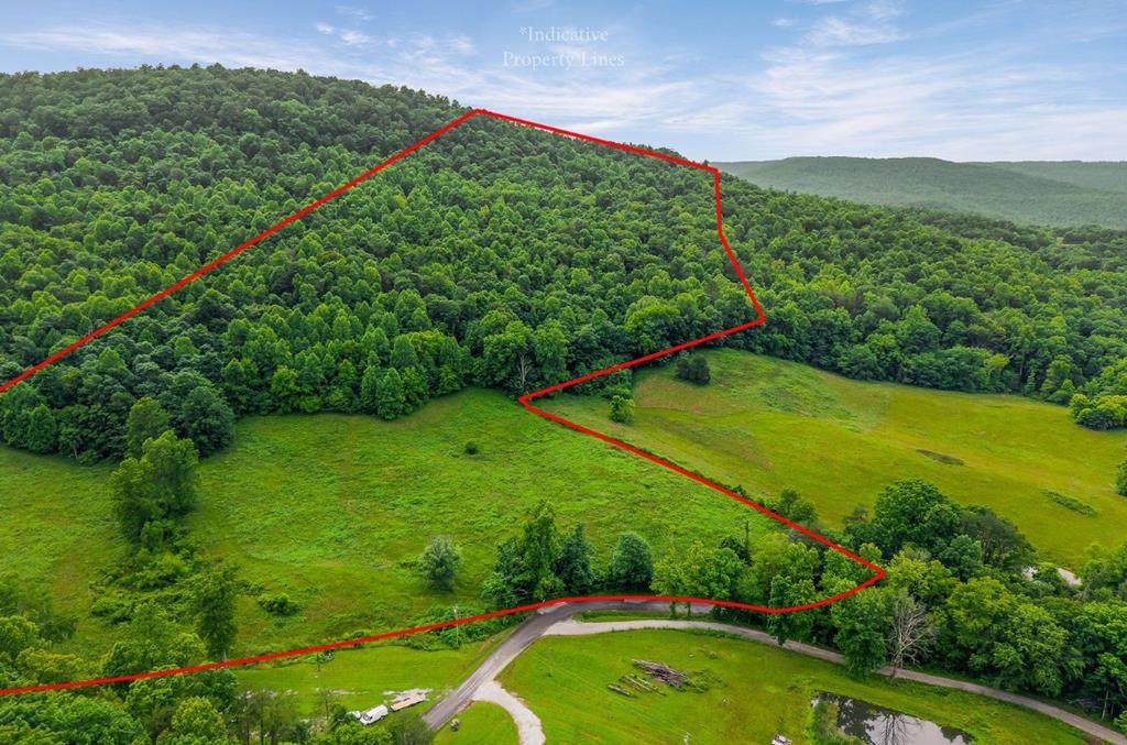 652 Sunk Cane Road - Photo 1