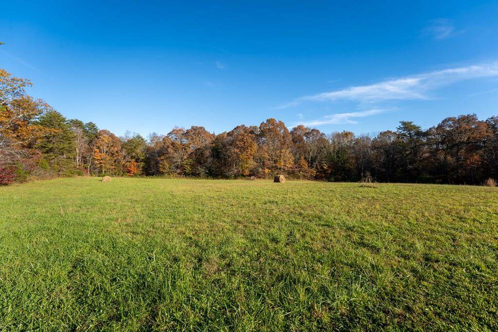 1090 Old Sunbright Road - Photo 1
