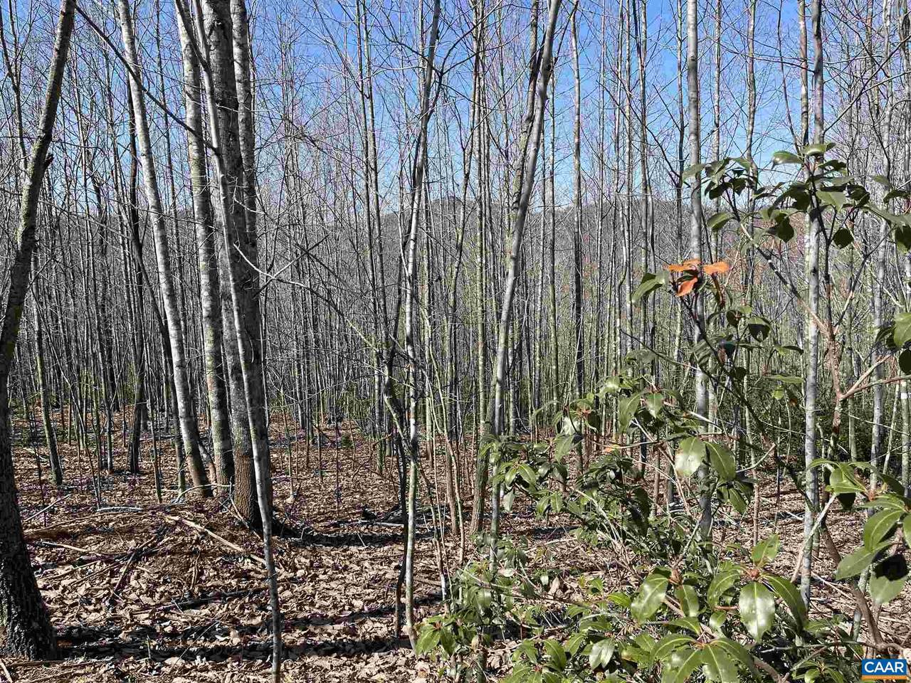 TBD 12 Mountain Ridge Ln - Photo 1