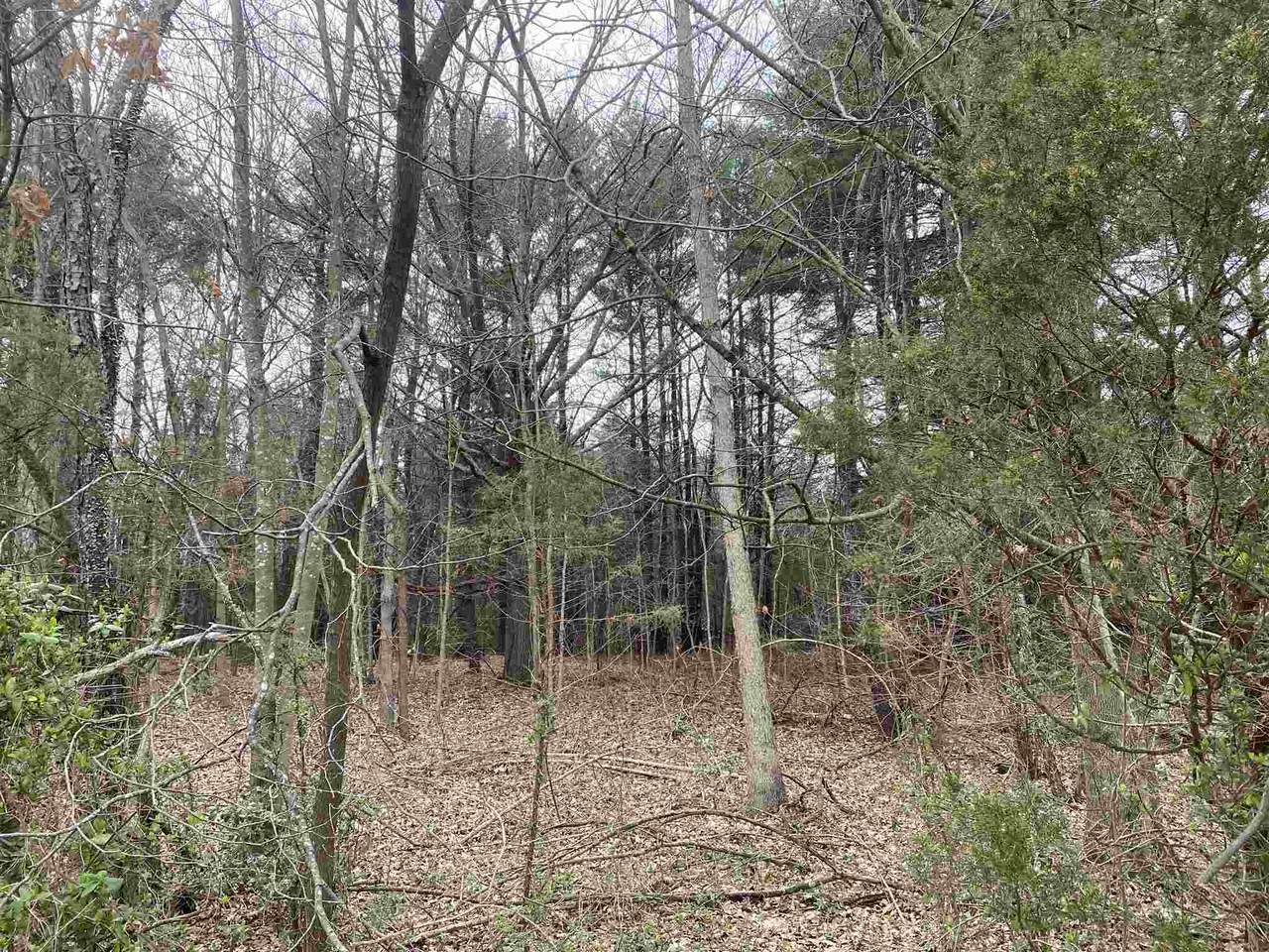 TBD Site 5 Huckleberry Rd - Photo 1