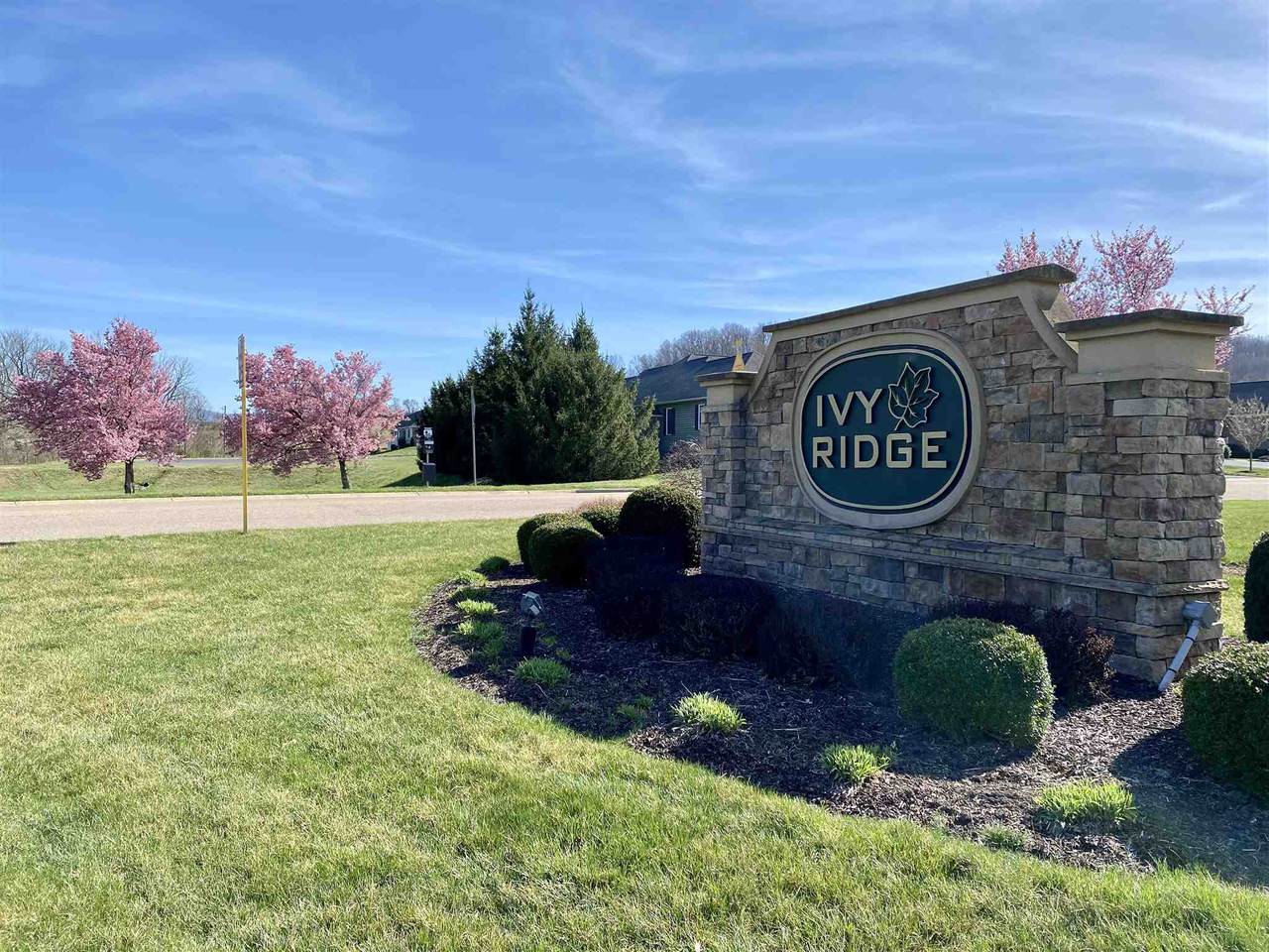 Lot 53 Rolling Oaks Dr - Photo 1