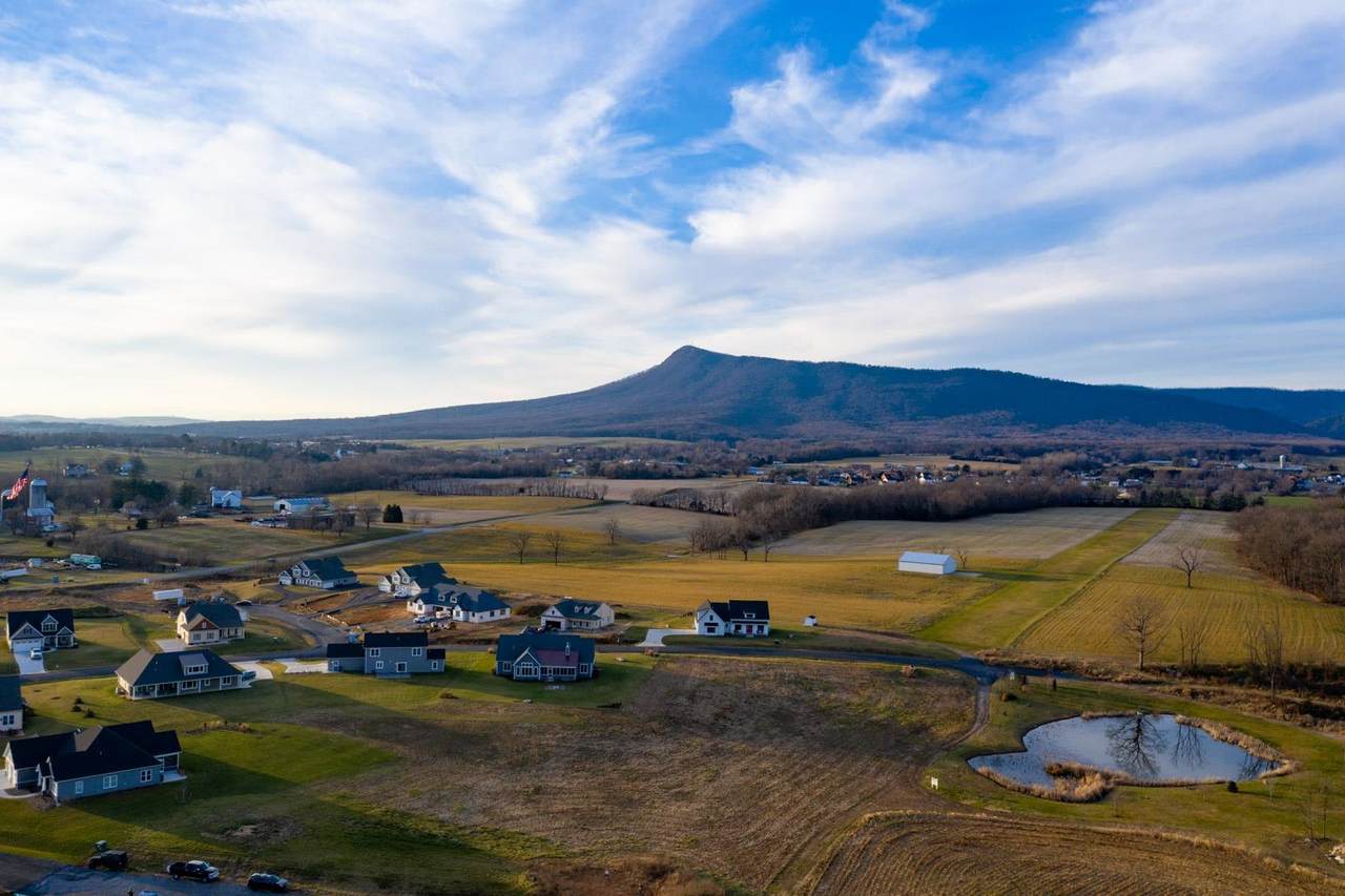 Lot 55 Dalmatian Dr - Photo 1
