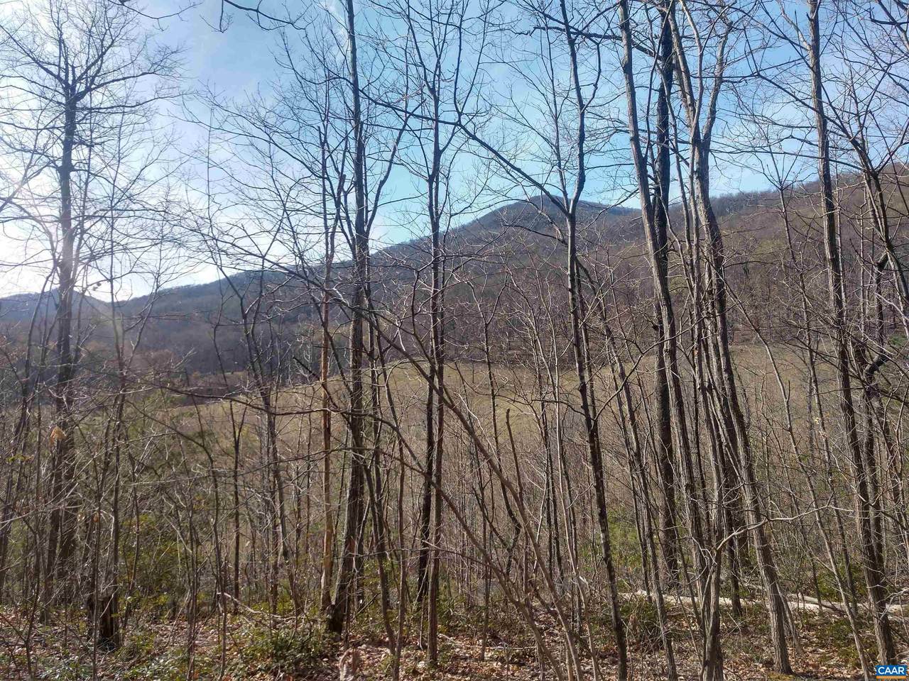 Lot 1 Rockfish Heights Ln - Photo 1