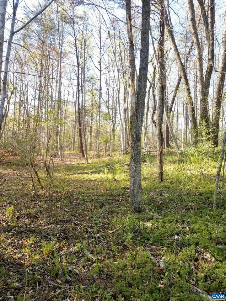 Lot 9 Montvue Ln - Photo 1