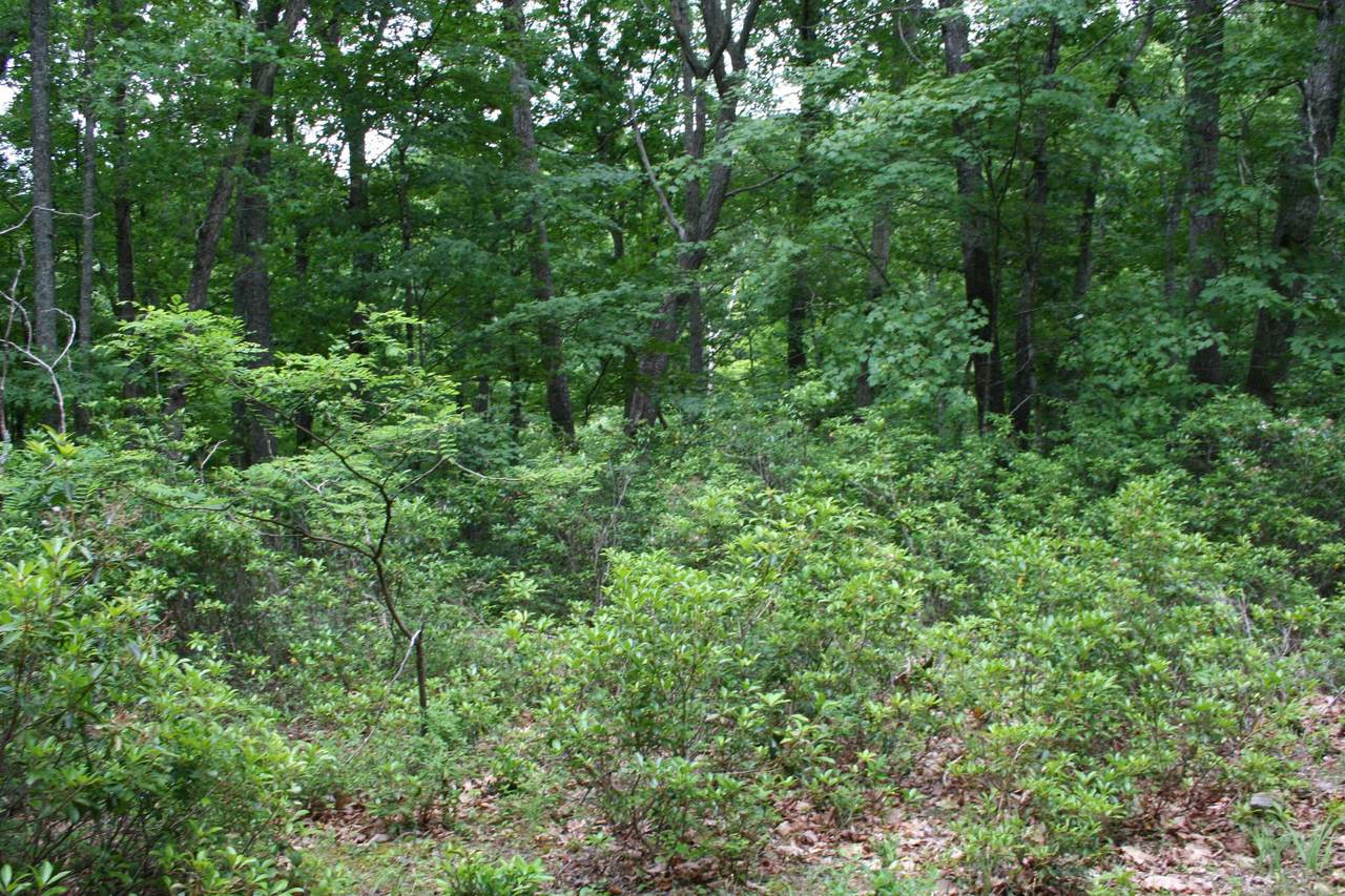 https://bt-photos.global.ssl.fastly.net/cville/1280_boomver_1_639234-2.jpg