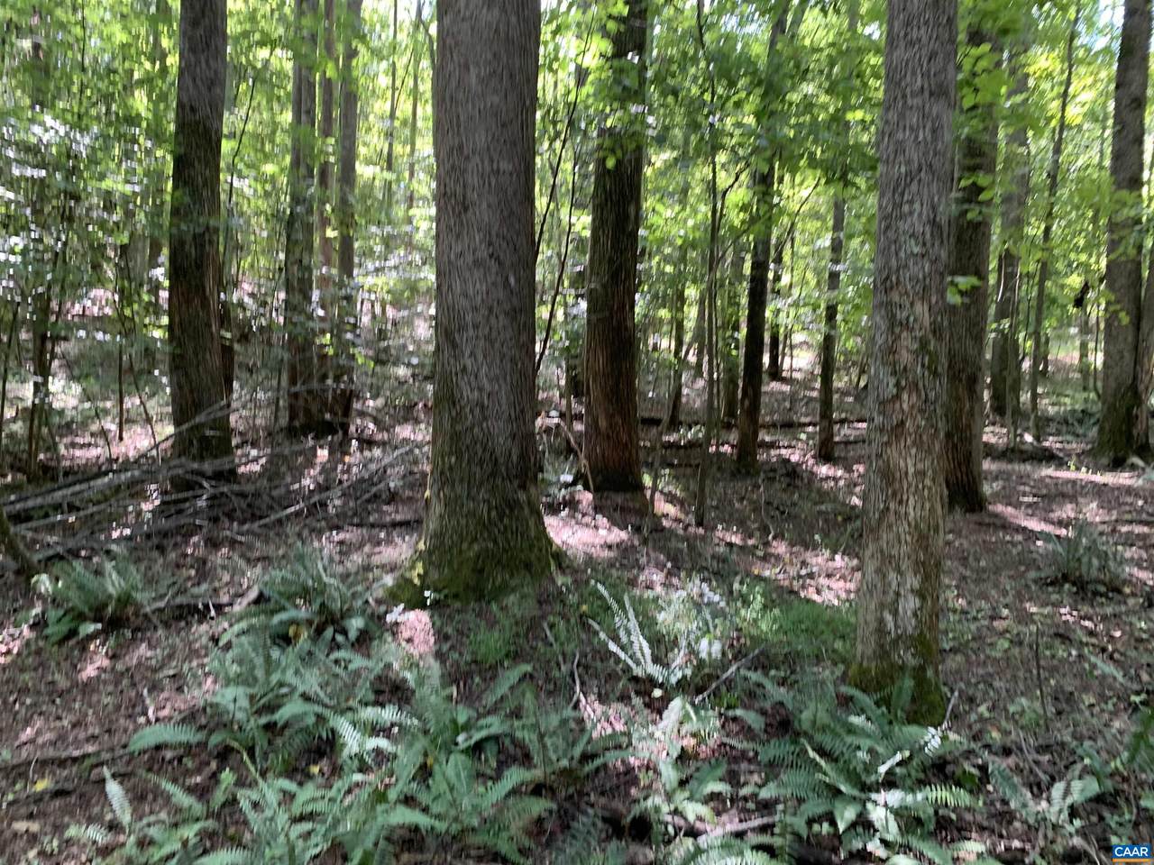 Lot1 Green Creek Rd - Photo 1