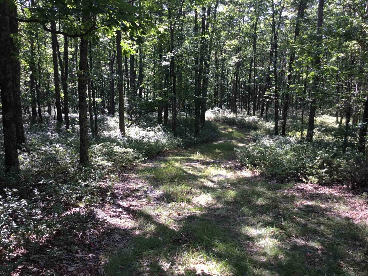 TBD Hinkle Mountain Rd - Photo 1