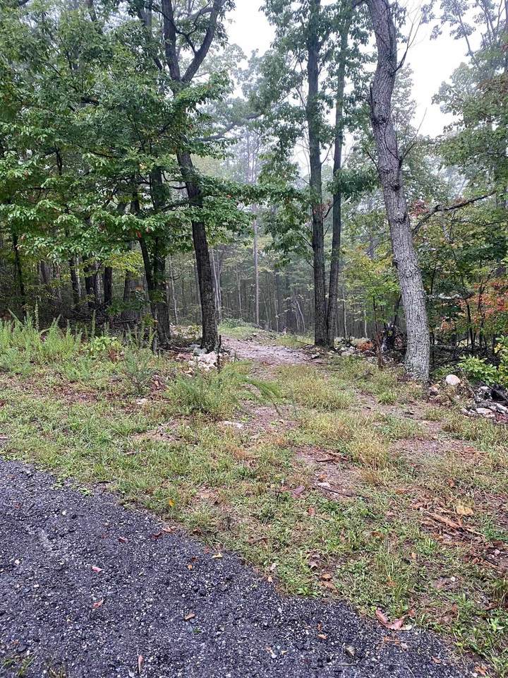 TBD Panorama View Dr - Photo 1