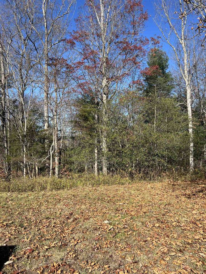 TBD Anderson Farm Rd - Photo 1