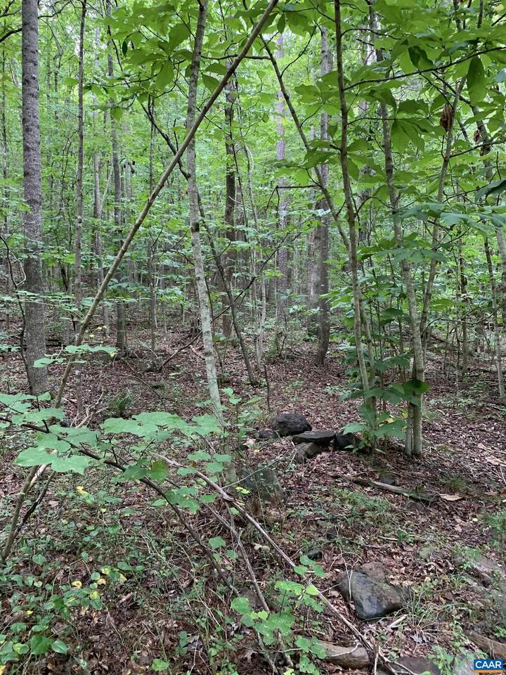  Glade Rd - Photo 1