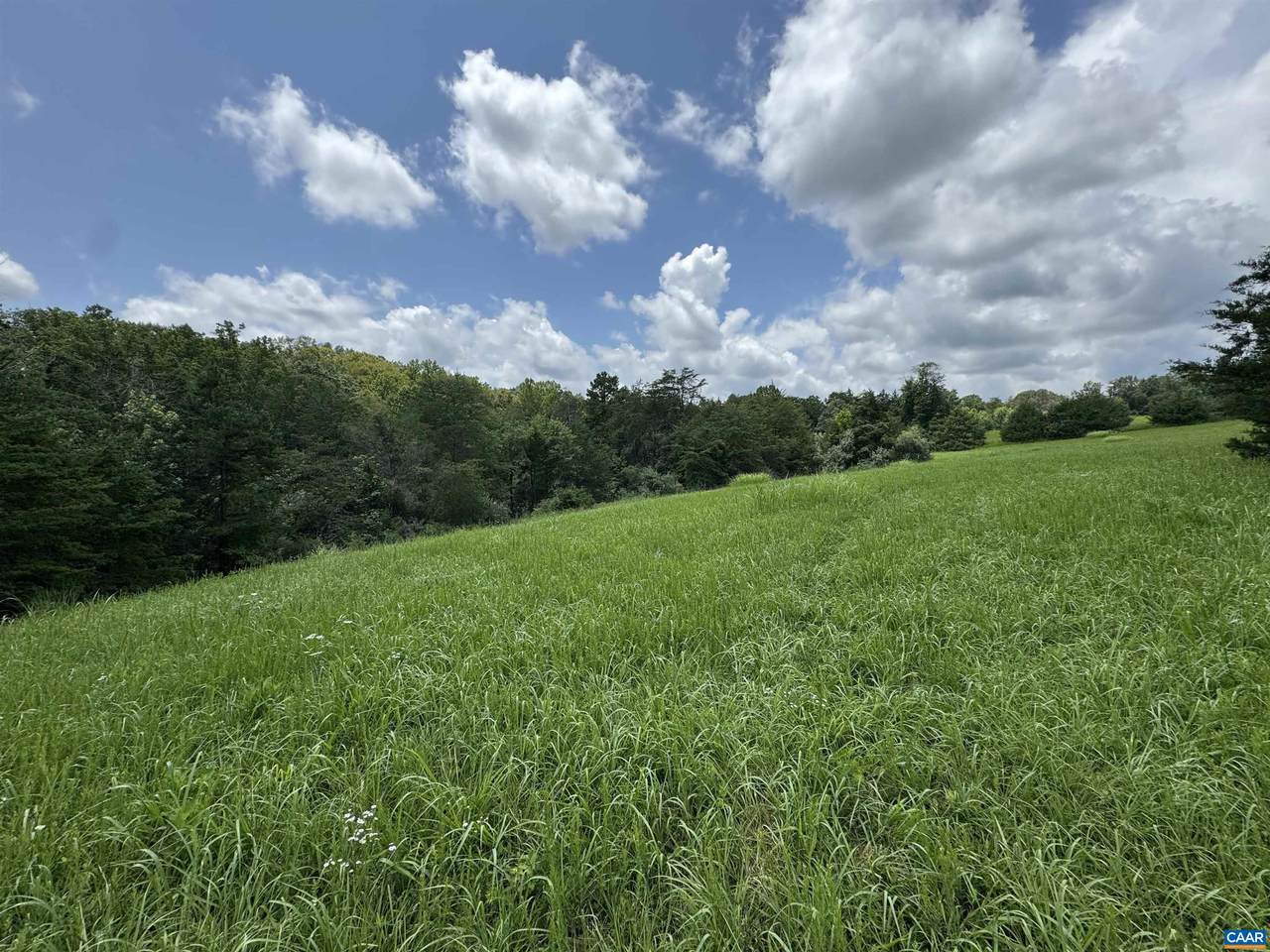 TBD Fishpond Rd - Photo 1
