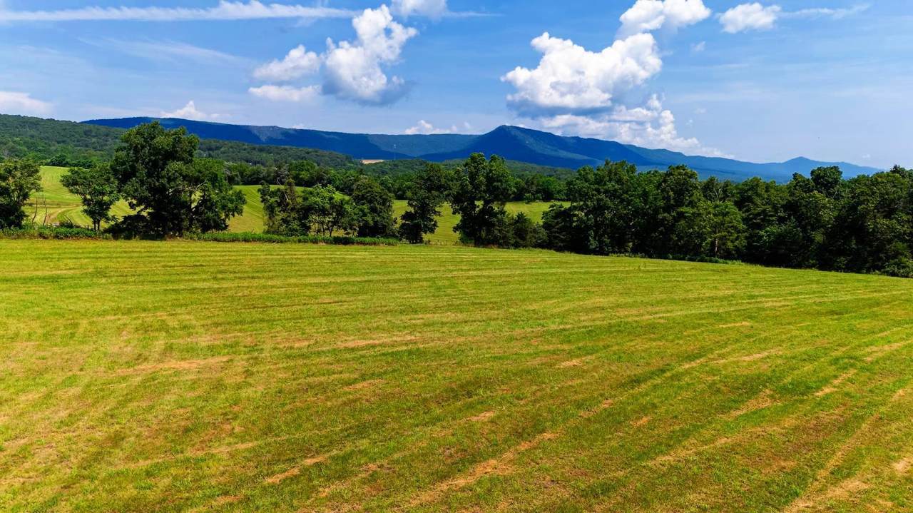 Lot 12 Shuler Ln - Photo 1