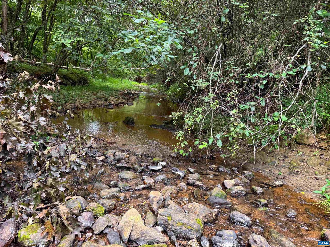TBA Old Green Mountain Rd - Photo 1