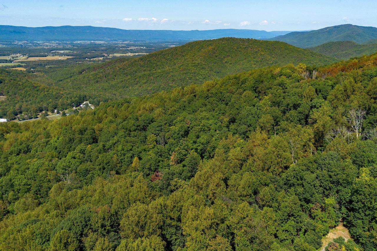 TBD Forest Homes Dr - Photo 1