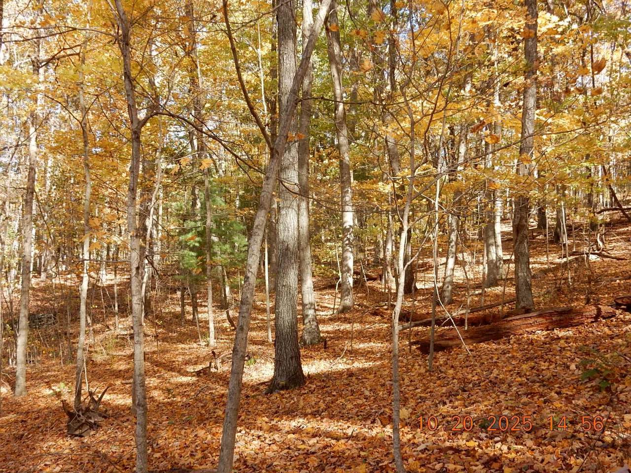 https://bt-photos.global.ssl.fastly.net/cville/1280_boomver_1_670277-2.jpg