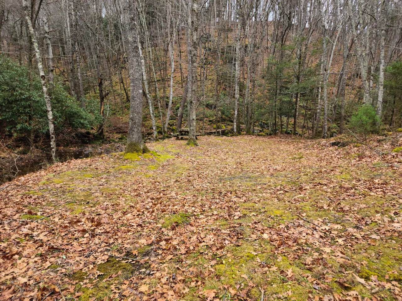 https://bt-photos.global.ssl.fastly.net/cville/1280_boomver_1_671207-2.jpg