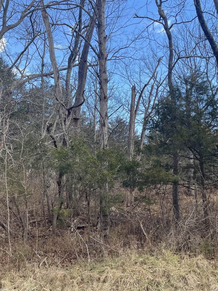 TBD Walker Creek Rd - Photo 1