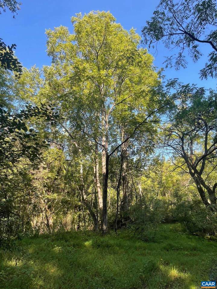 TBD Stony Point Pass - Photo 1