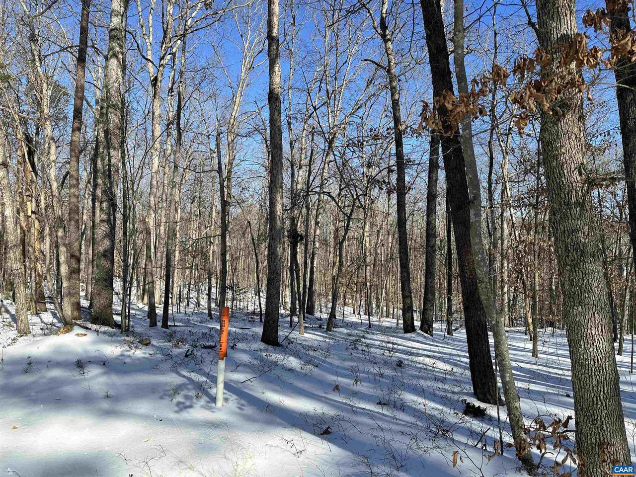 02 Beaverdam Rd - Photo 1