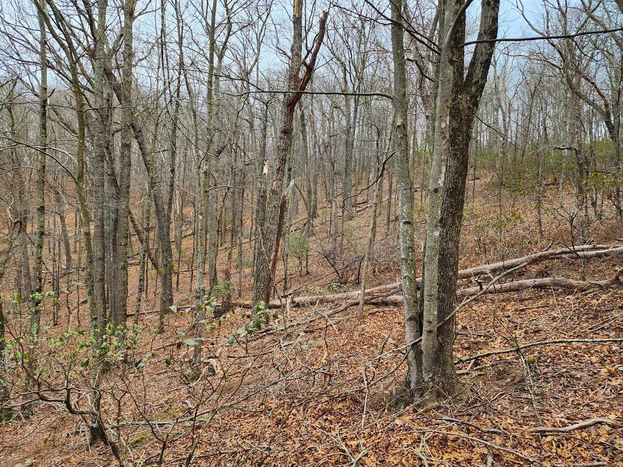 https://bt-photos.global.ssl.fastly.net/cville/1280_boomver_1_674667-2.jpg