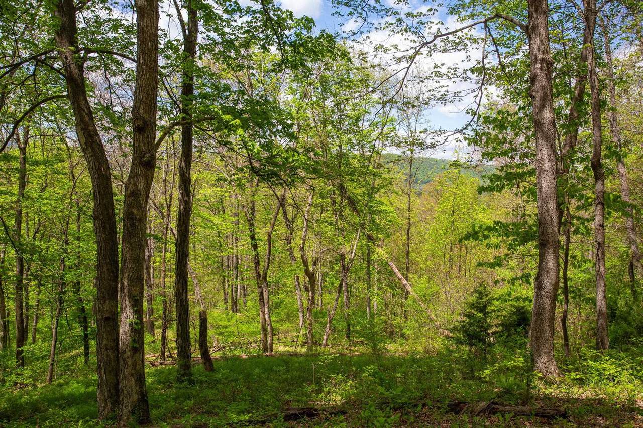0 Church Mountain Ln - Photo 1