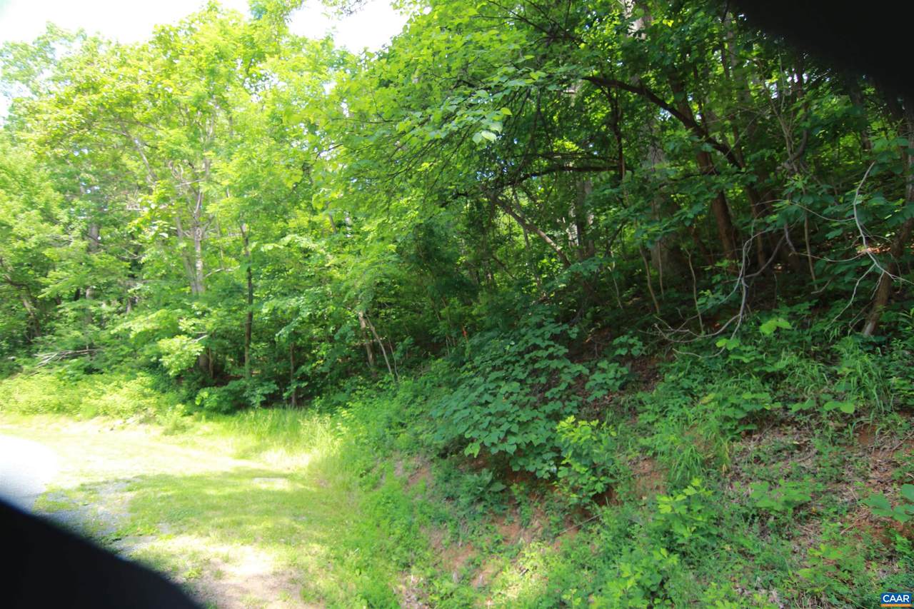 1757 Black Walnut Dr - Photo 1