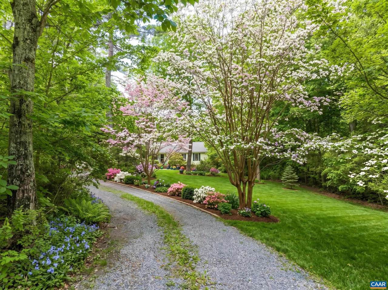 https://bt-photos.global.ssl.fastly.net/cville/1280_boomver_1_677924-2.jpg