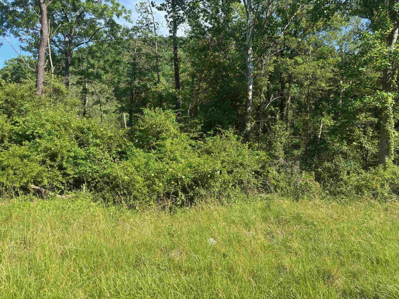 TBD 1.99 Acres Parkersburg Tpke - Photo 1