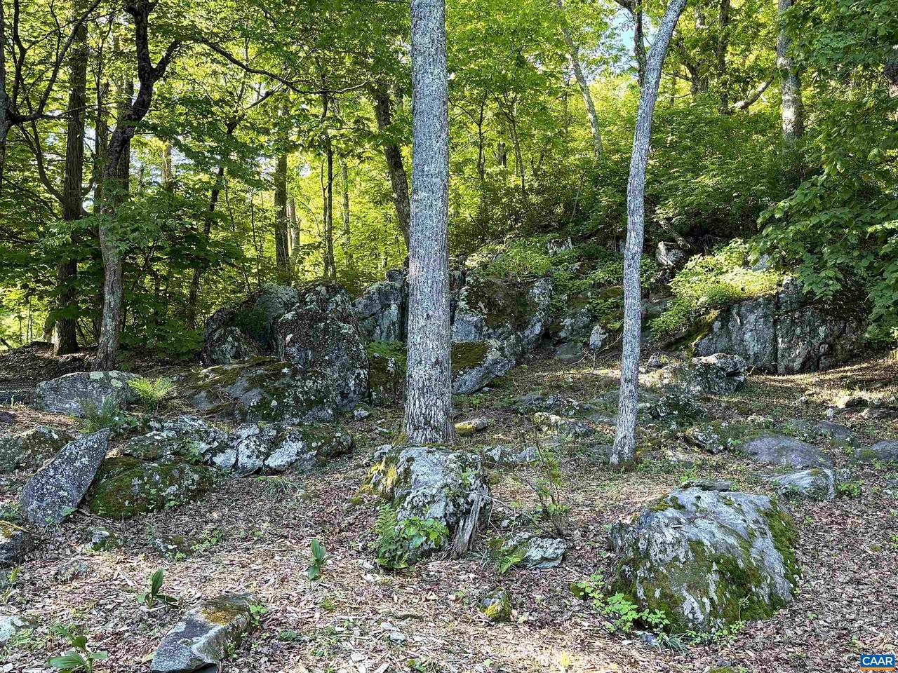 https://bt-photos.global.ssl.fastly.net/cville/1280_boomver_1_678617-2.jpg