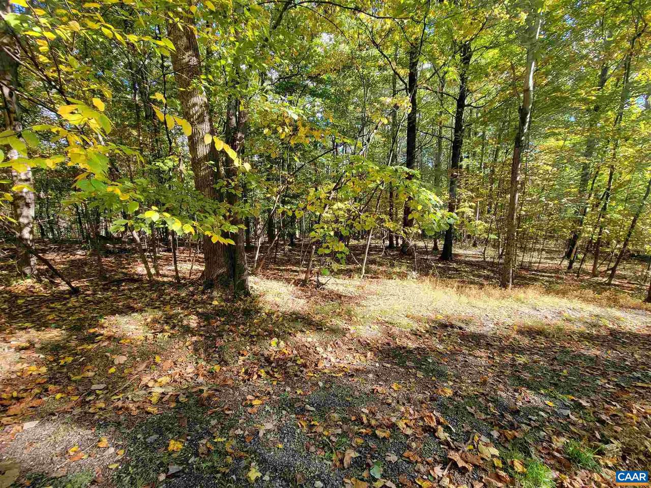 41 Hickory Spring Rd - Photo 1