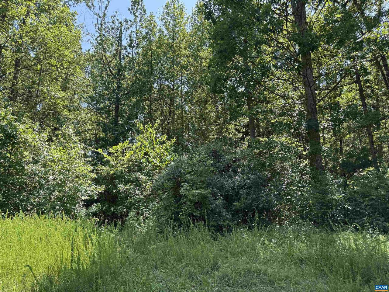 0 Bambi Ct - Photo 1