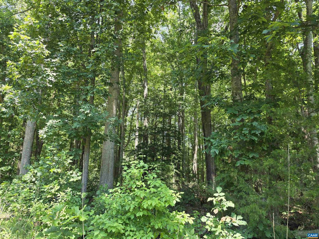 https://bt-photos.global.ssl.fastly.net/cville/1280_boomver_1_679889-2.jpg
