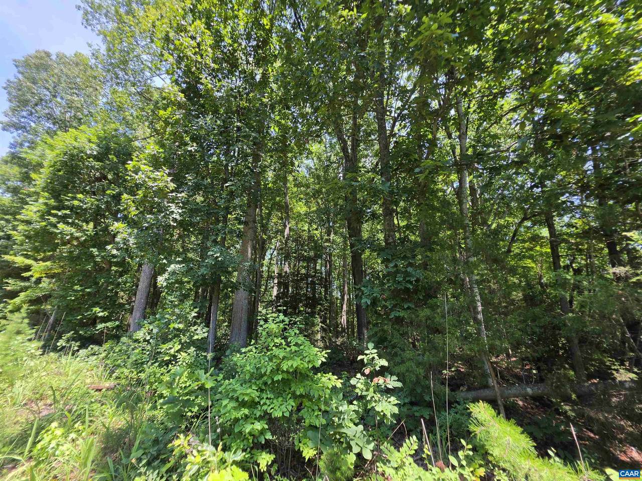 https://bt-photos.global.ssl.fastly.net/cville/1280_boomver_1_679889-2.jpg