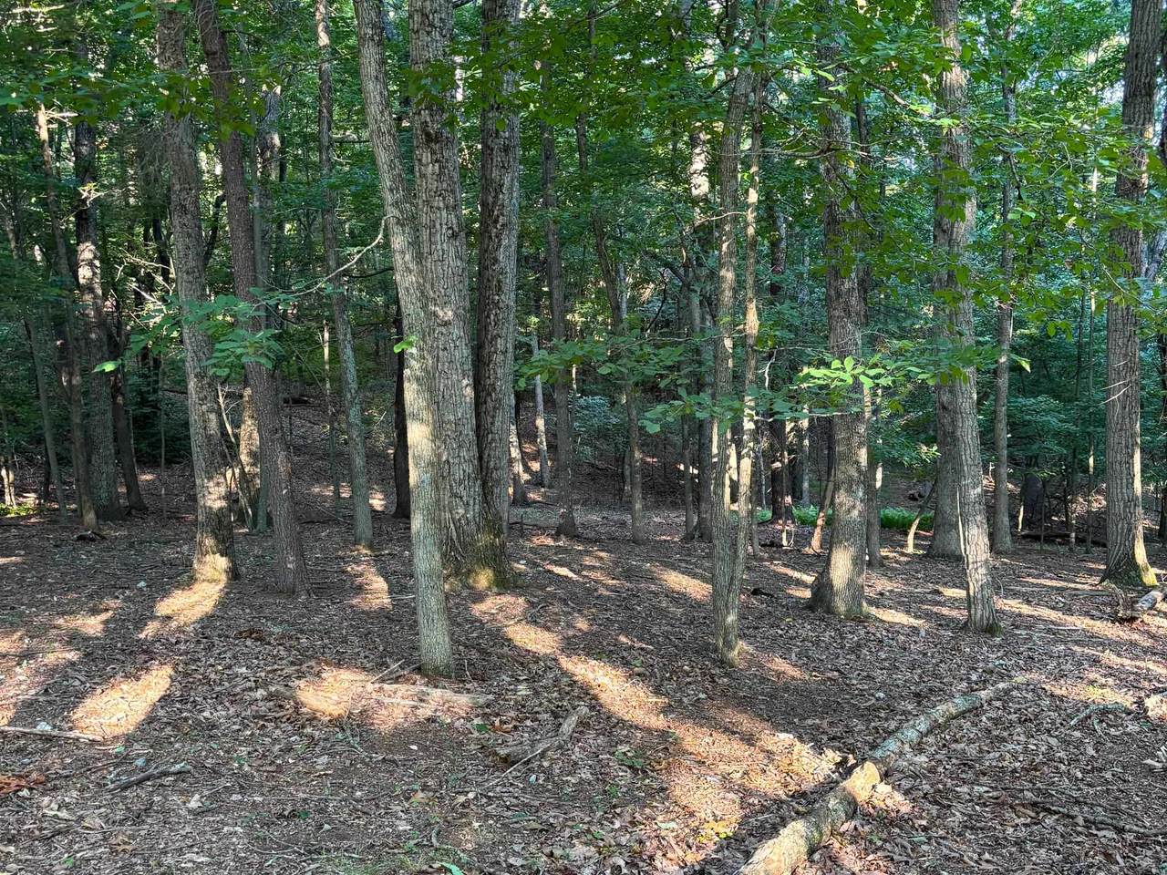 https://bt-photos.global.ssl.fastly.net/cville/1280_boomver_1_680142-2.jpg