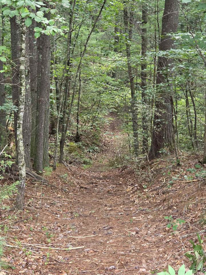 https://bt-photos.global.ssl.fastly.net/cville/1280_boomver_1_680814-2.jpg